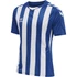 Kép 10/12 - CORE XK STRIPED JERSEY S/S